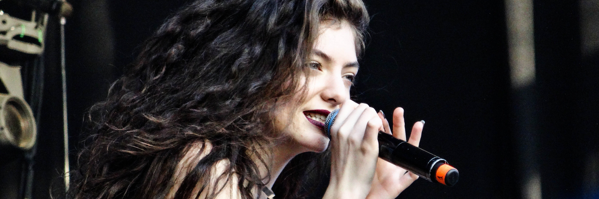 Response to Lorde's Autoimmune Disease Comment by Woman With Sjogren's lorde