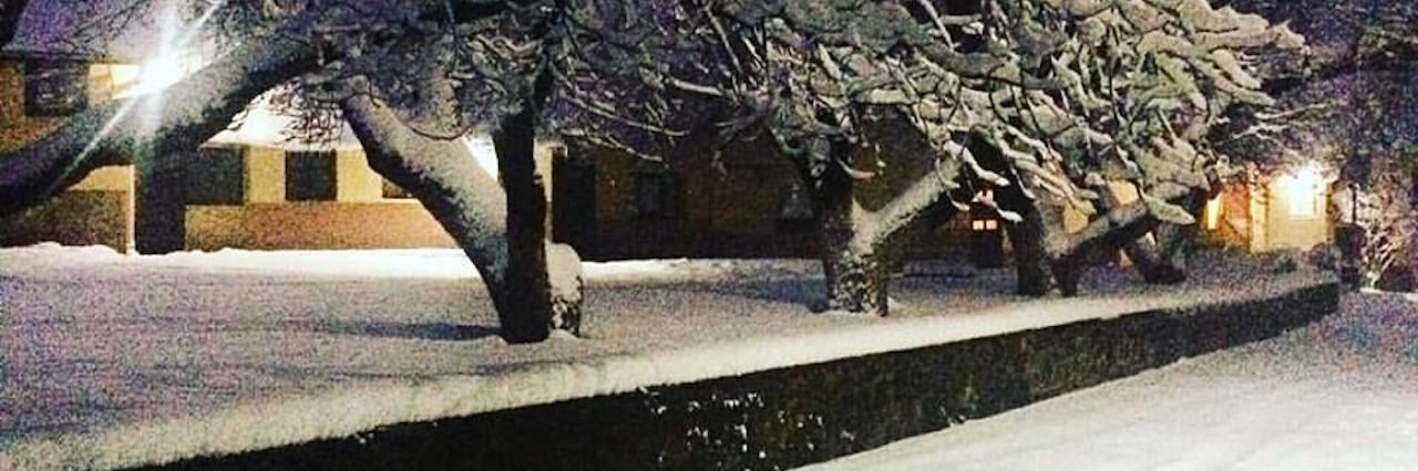 trees covered in snow at night in morocco
