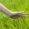 woman's hand touching the grass, 'feeling nature'
