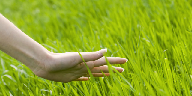 woman's hand touching the grass, 'feeling nature'