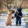 Little boy with his dog in a park.