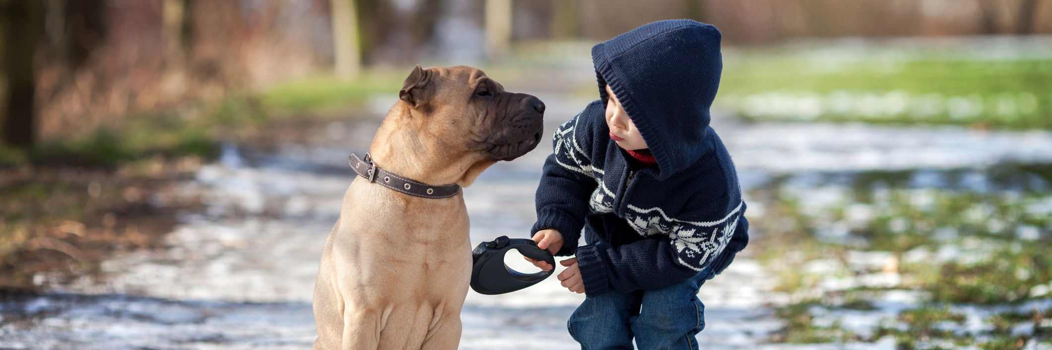 When a Pet Becomes a Service Dog Little boy with his dog in a park.