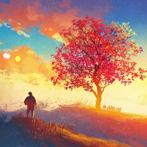 autumn landscape with alone tree on mountain
