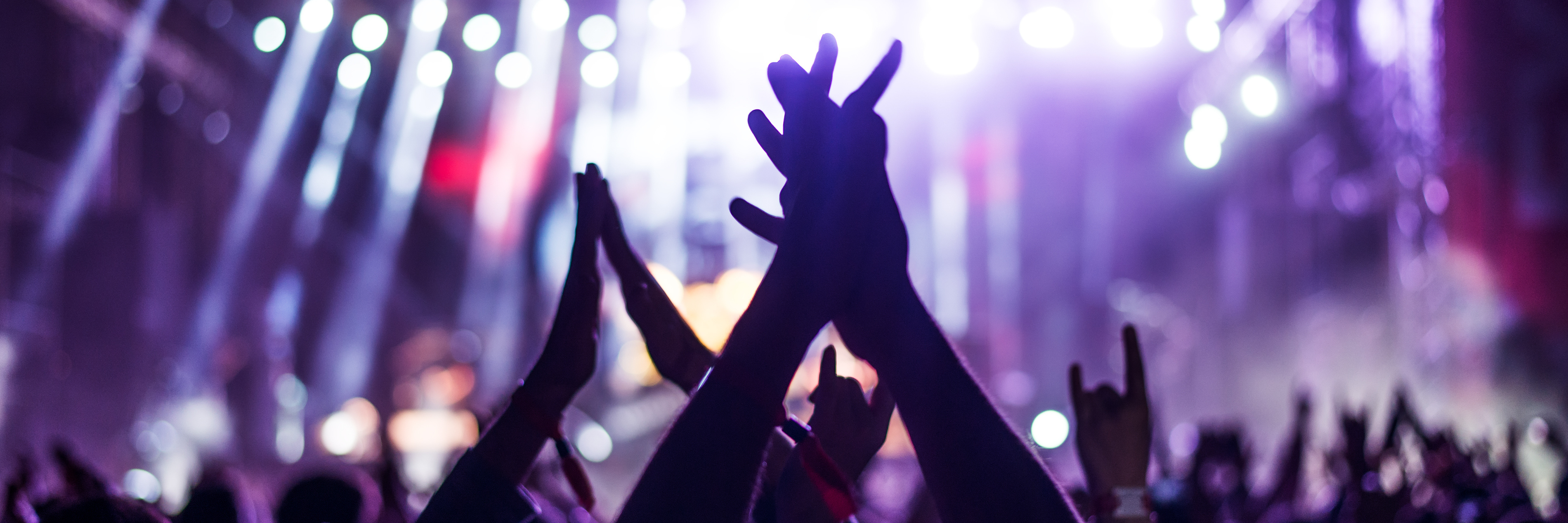 Going to Concerts With Invisible Illnesses audience at a concert