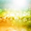 Blurred image of grass and sunlight