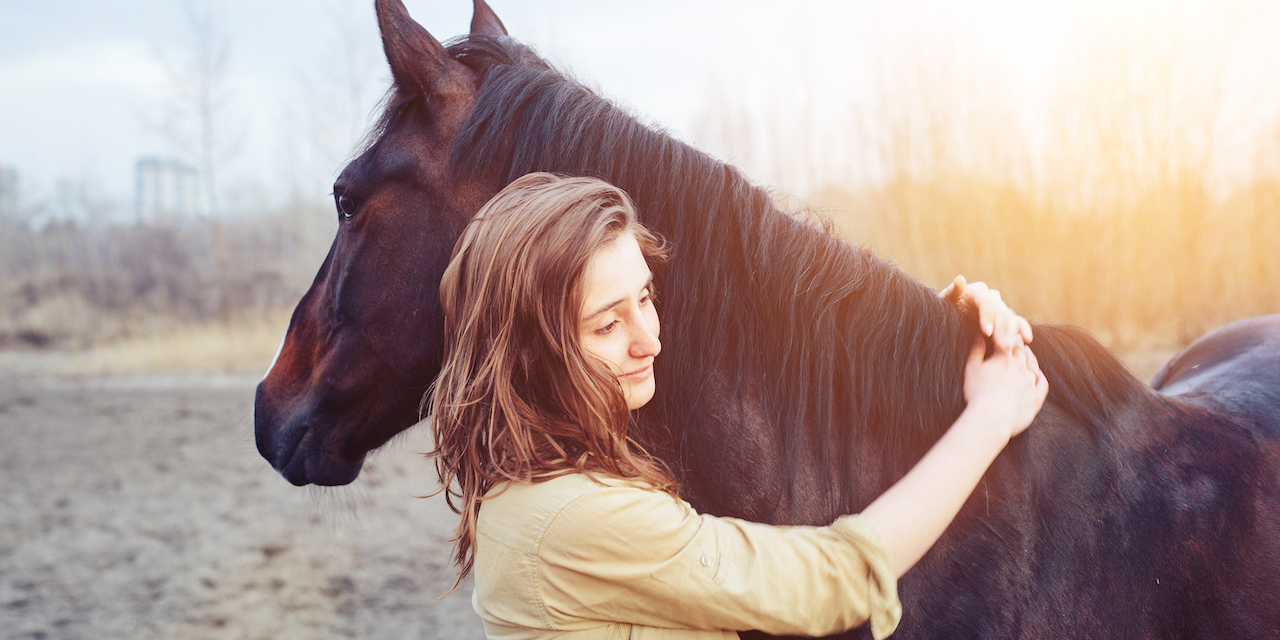 Horses Help Veterans Struggling With Post Traumatic Stress Disorder ...