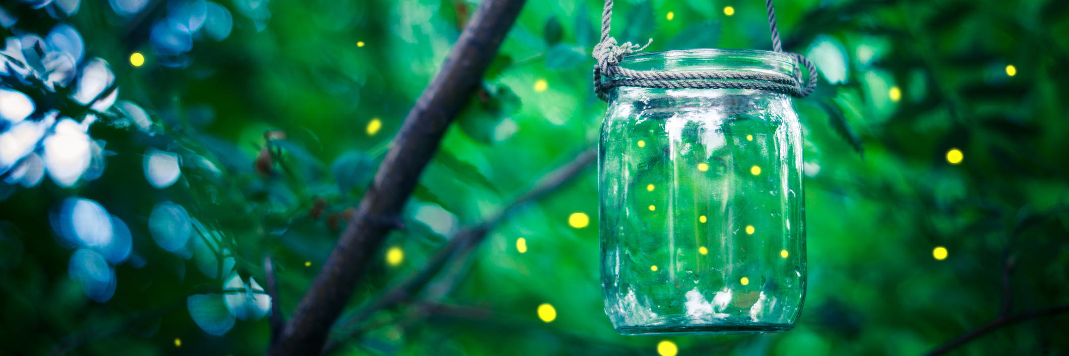 Fireflies flying around, some in a jar hanging off a tree branch.