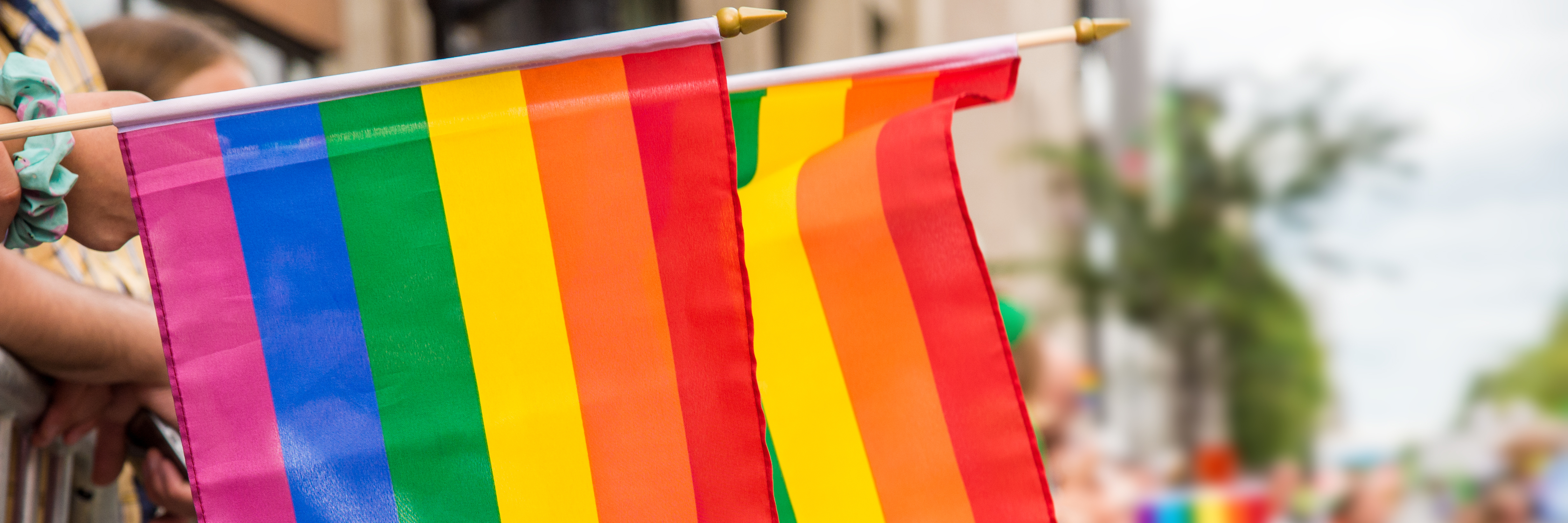 Gay rainbow flags at Montreal gay pride parade with blurred spectators in the background