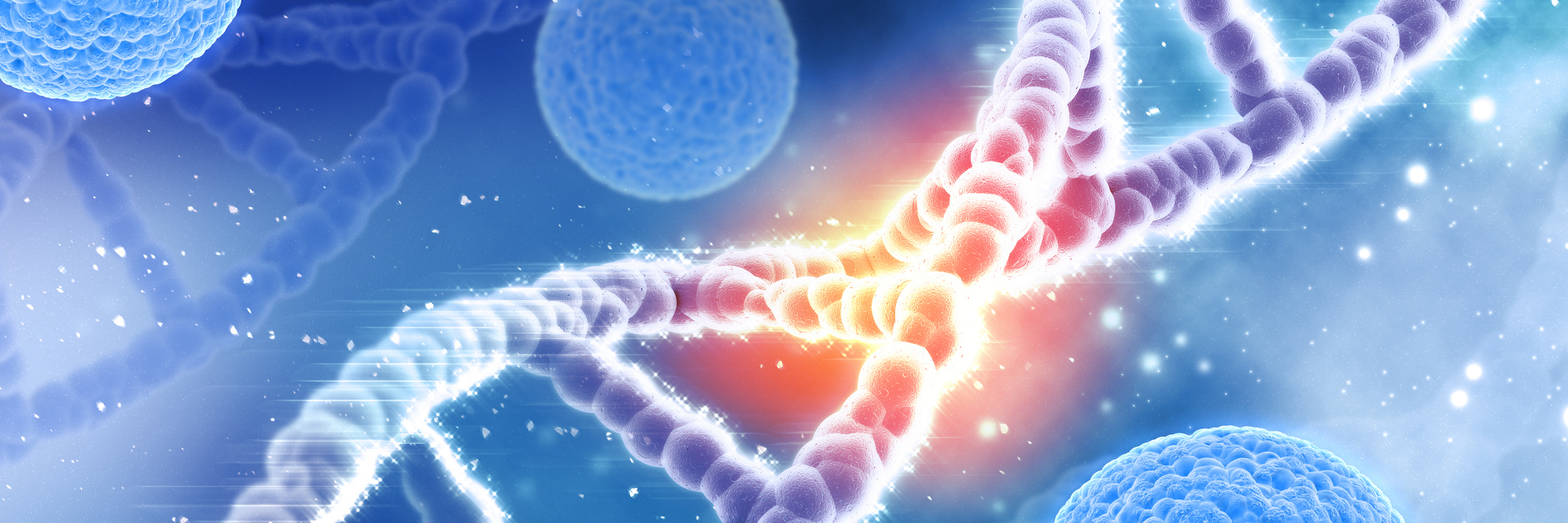 Effects of MTHFR Gene Mutation on Physical and Mental Health strand of dna