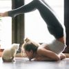 young woman practicing yoga scorpion pose with small white cat in front of her
