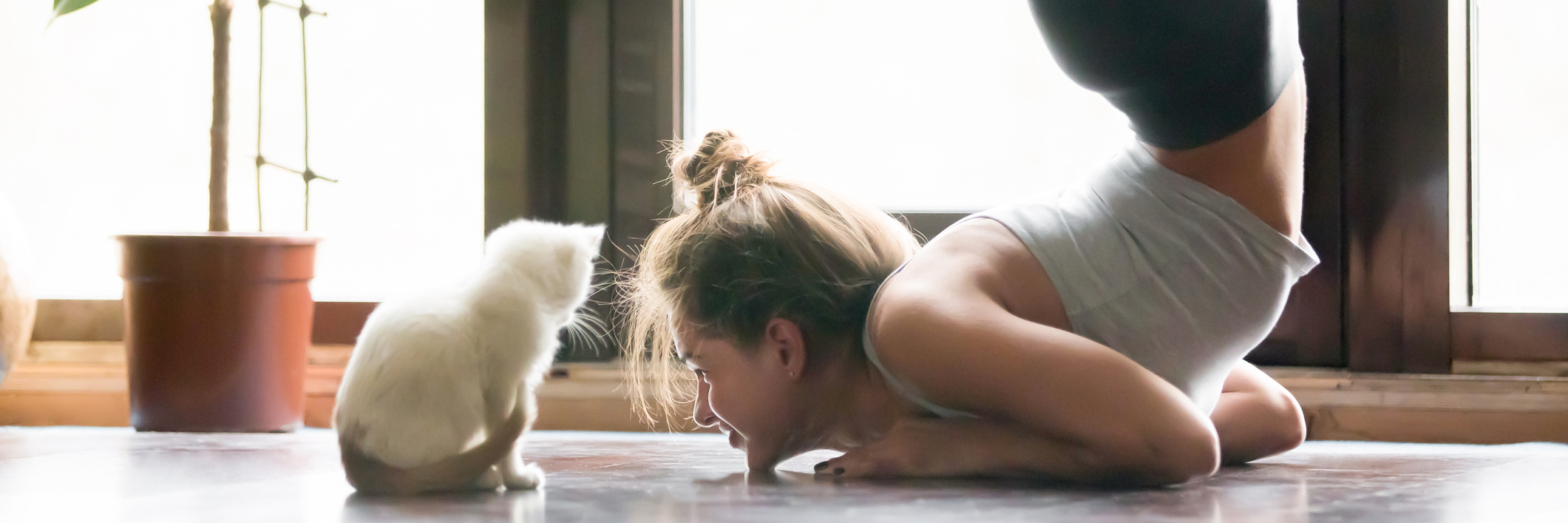 young woman practicing yoga scorpion pose with small white cat in front of her