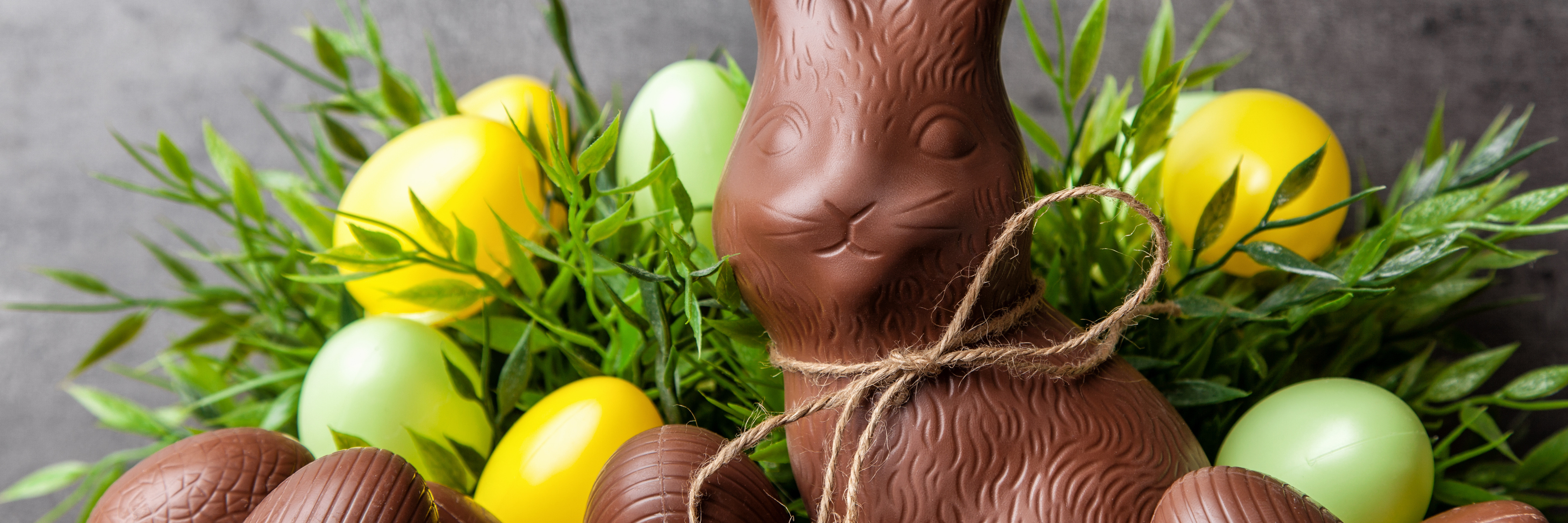 Explaining the Mania of Bipolar Disorder With Chocolate Easter Bunnies traditional chocolate easter bunny surrounded by easter eggs with string tied into a bow around neck
