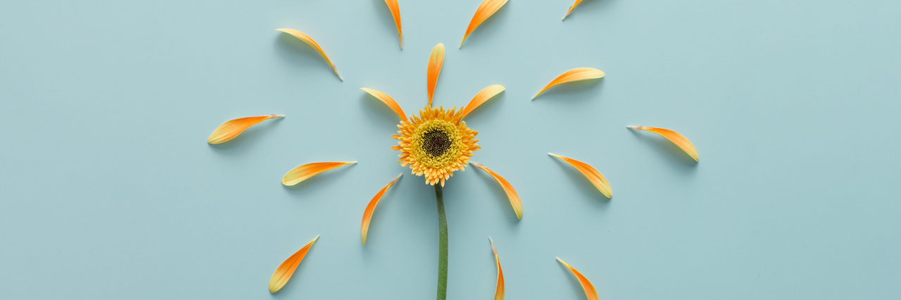 The Reality of a Depression Relapse A flower