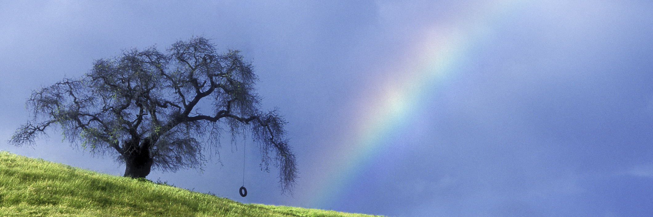 Confronting My Sexuality as Someone With Autism