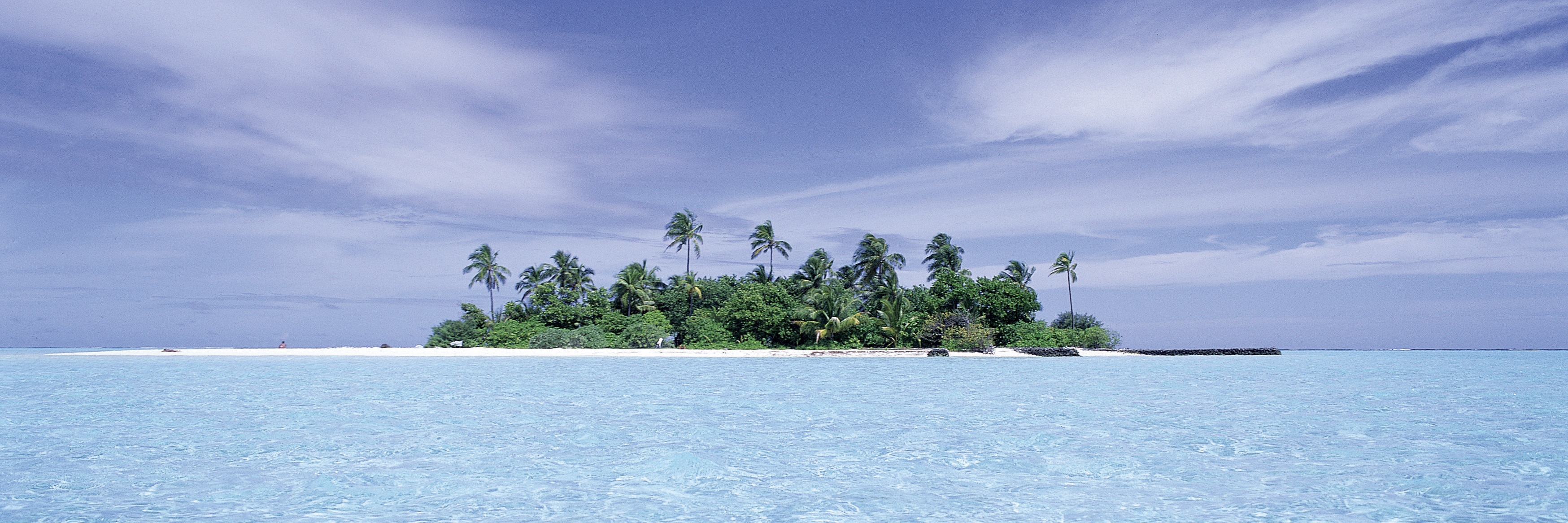 The Disability Community Is Like an Island Island in the ocean.