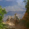 people riding horses through grand canyon