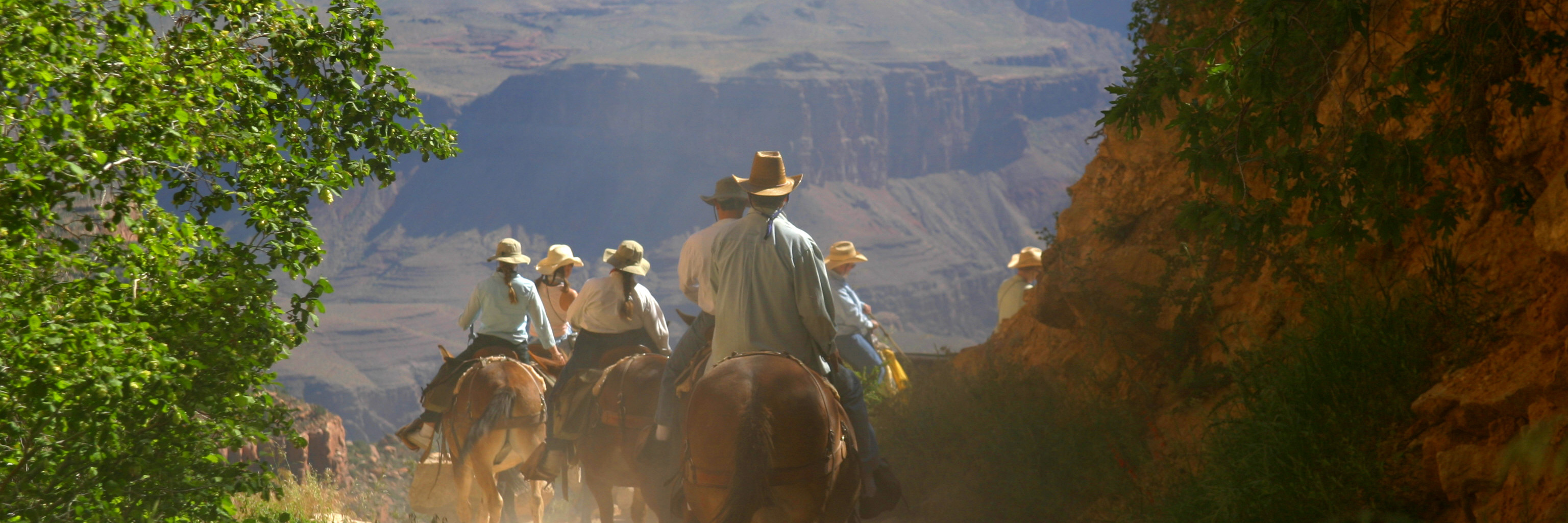 Muscular Dystrophy: Training to Ride a Horse Into the Grand Canyon people riding horses through grand canyon
