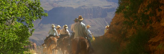 people riding horses through grand canyon