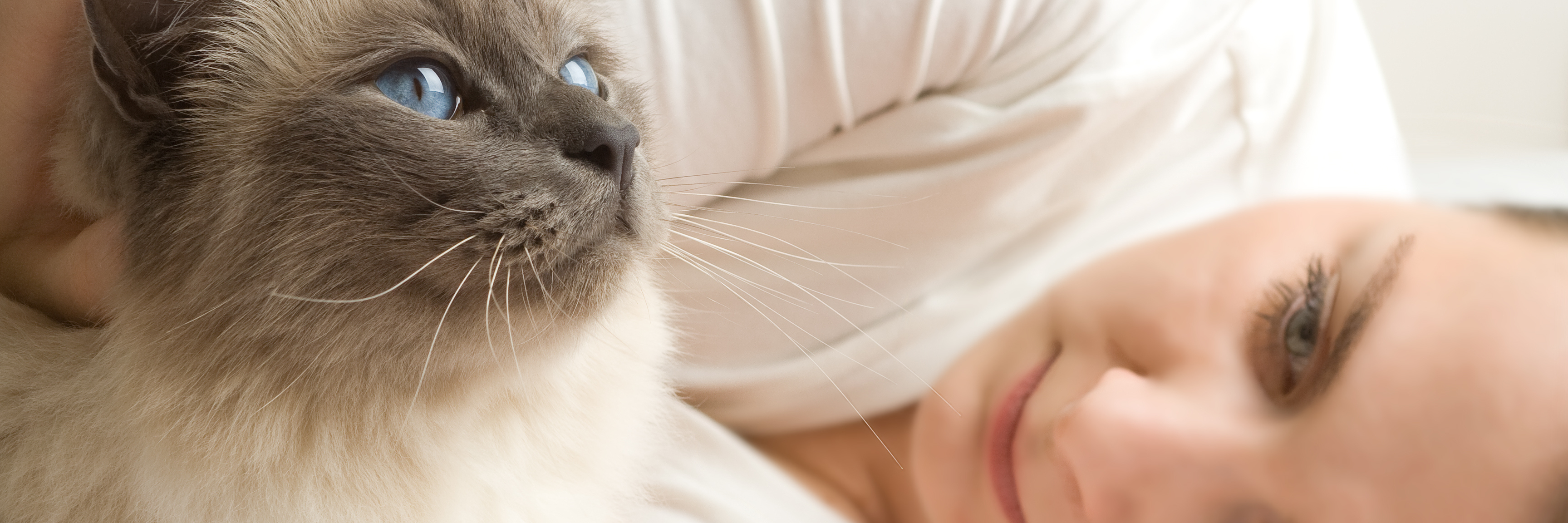 What to Remember on Days When Depression Is at Its Worst woman lying on bed next to blue eyed cat