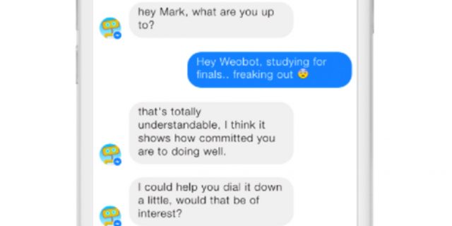 Screengrab showing a conversation between a user and Woebot