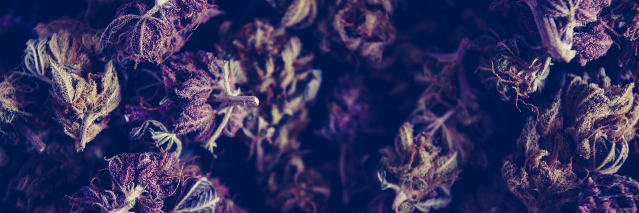 Information on People Treating Mental Illness With Medical Marijuana a photo of marijuana
