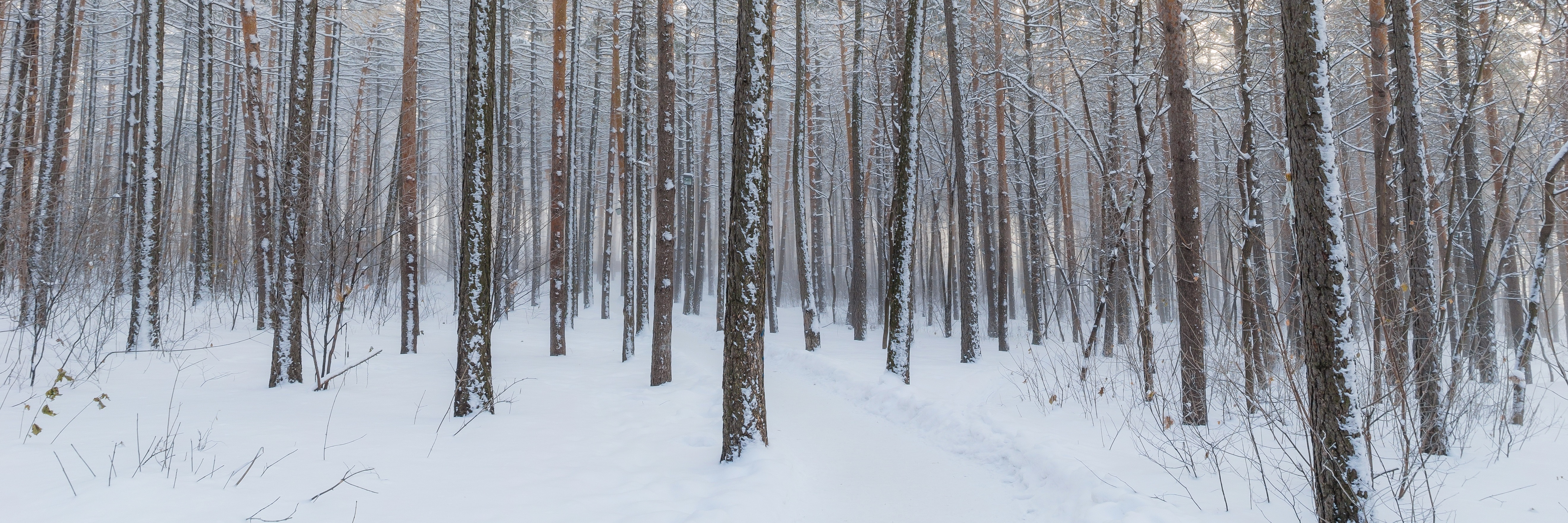 How Depression Is Like Always Living in Winter winter
