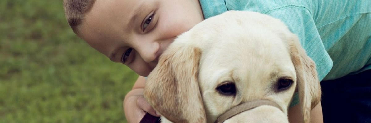 How a Service Dog for My Son With Autism Impacted My Career