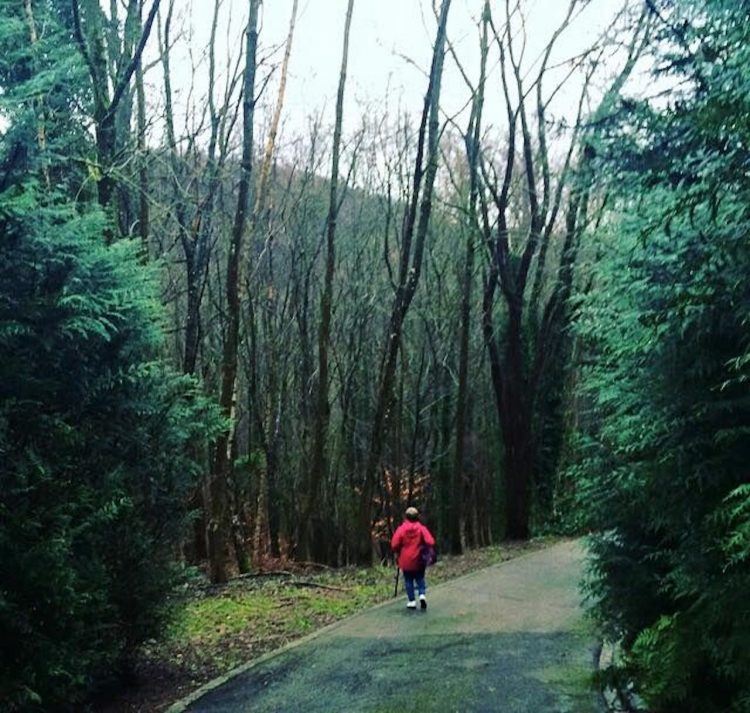 woman walking down a path in a foggy forest