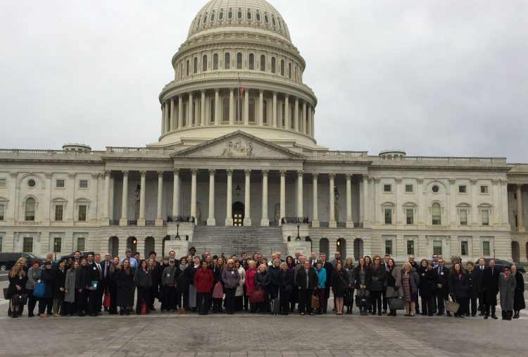 2017 Headache on the Hill participants in front of the U.S. Capitol.