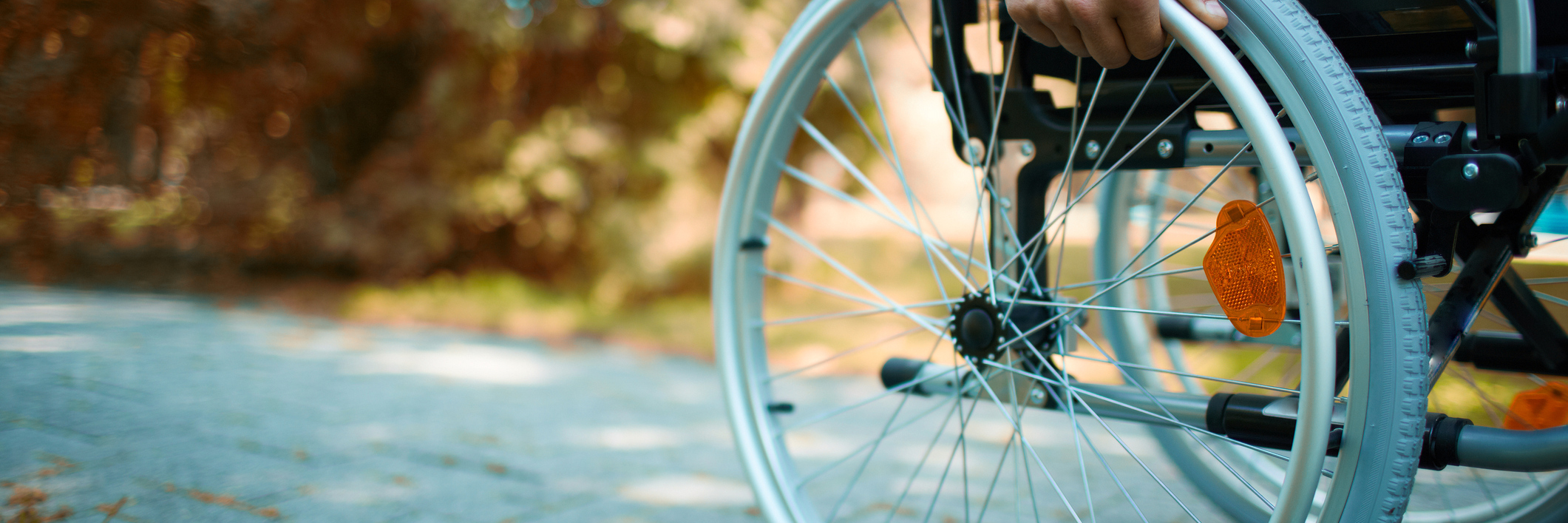 Close-up of male hand on wheel of wheelchair during walk in park.