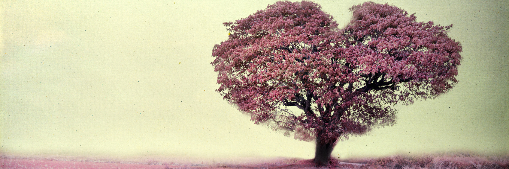 Illustration of pink heart-shaped tree against gray sky background