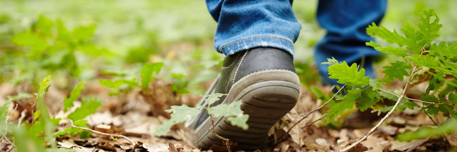 The Work-in-Progress of Grieving Image from the back of a man's feet walking through a forest on a footpath