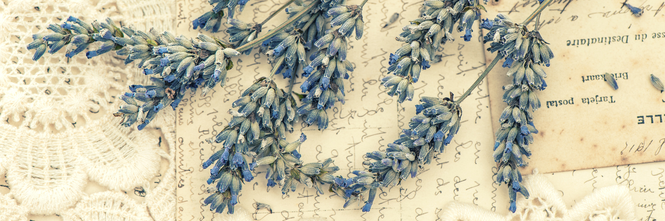 A Letter to Myself Before I Knew I Had Depression dried lavender flowers and vintage love post cards.