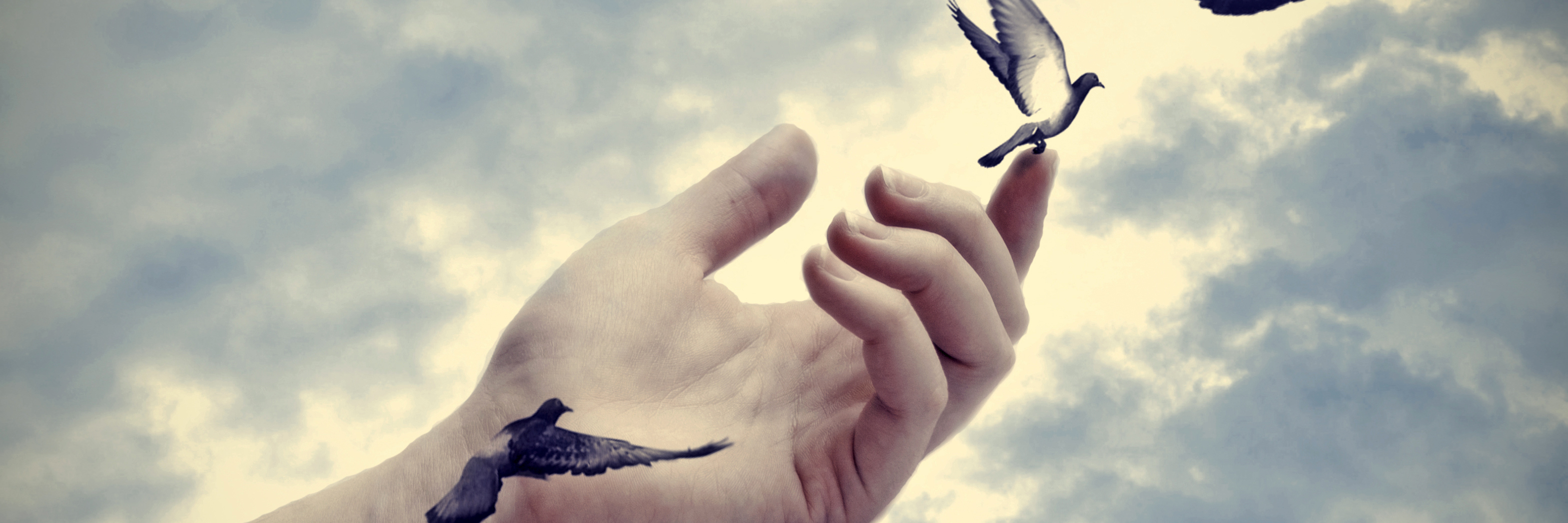 How Living With Chronic Pain Taught Me to Love My Body Bird tattoos on an arm, coming to life, flying away.