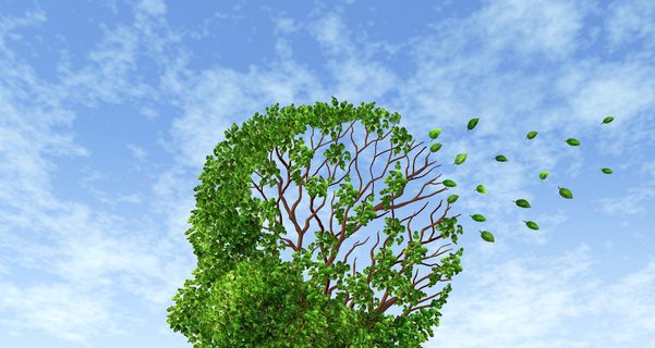 5 Challenges I Face Because of My Poor Short-Term Memory Memory Loss