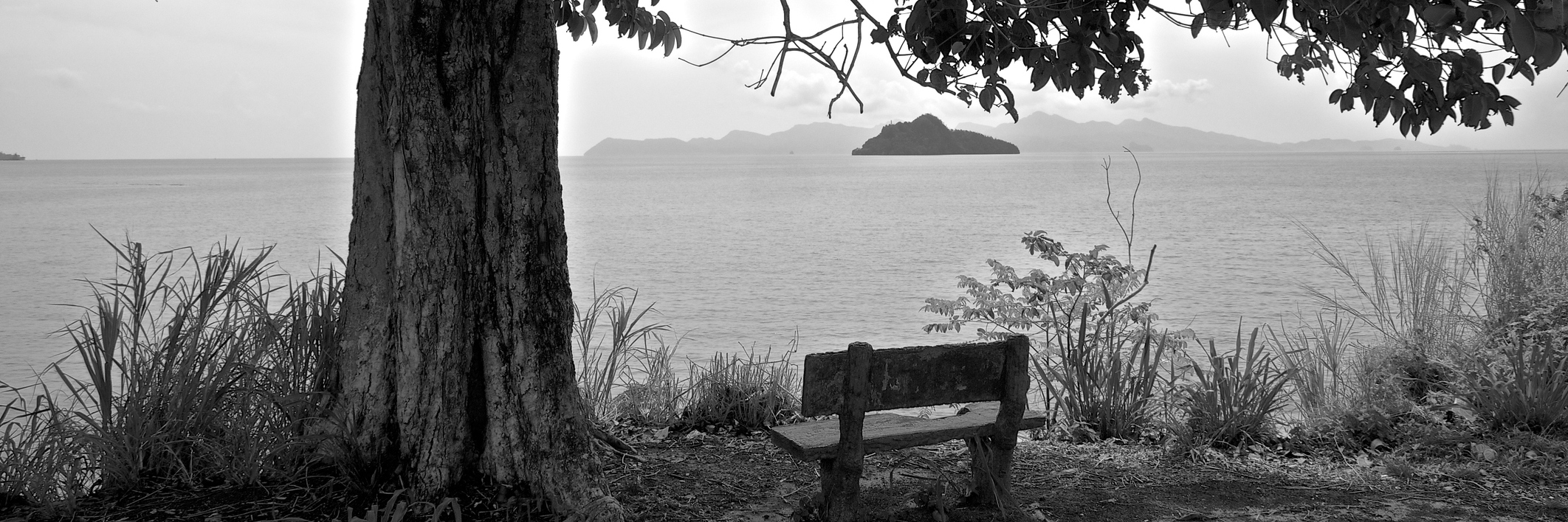 How Being Autistic Shapes My View of the World and People Bench under a tree by a lake, black-and-white photo.