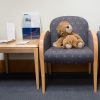 Toy lion in hospital waiting room
