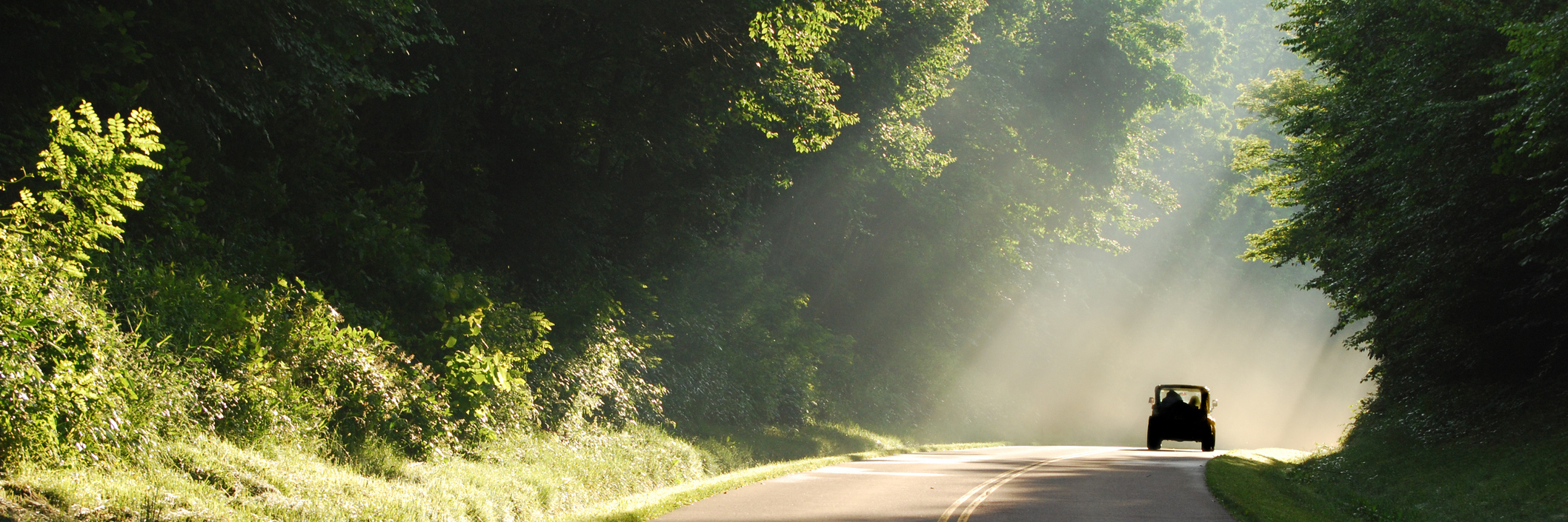 All I Can Count On as a Traumatic Brain Injury Survivor Truck on curvy road with rays of sunshine streaming through the green, lush trees.