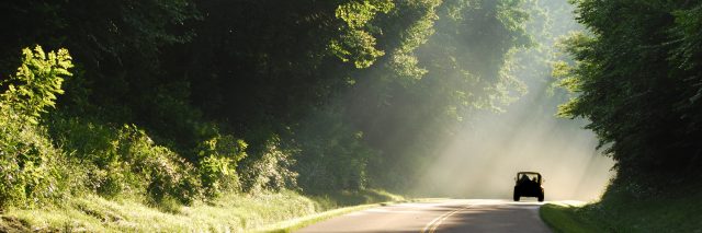Truck on curvy road with rays of sunshine streaming through the green, lush trees.