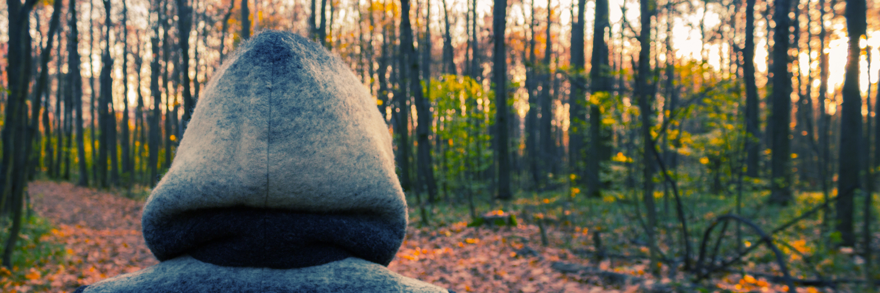 My Eating Disorder Was My Survival Mechanism woman in a hood. mystic forest background.