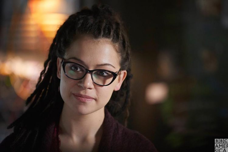 cosima niehaus