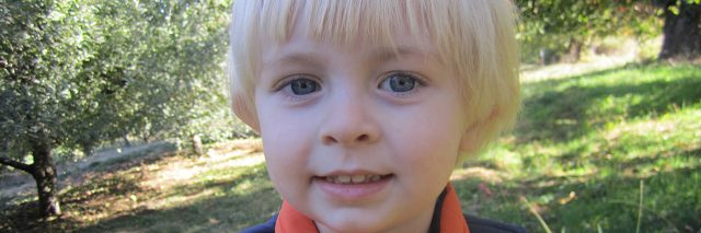 Little boy with blonde hair, waeing blue shirt and orange vest. Close up of his face, part smiling.