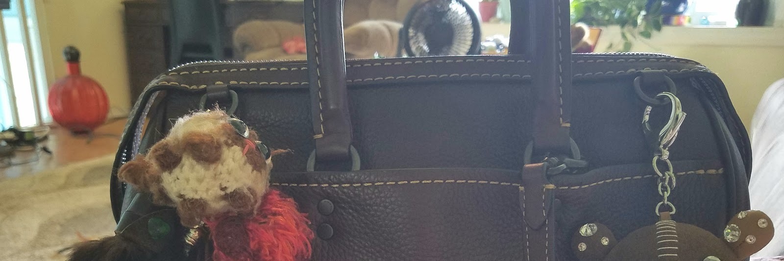 Why I Splurge on Everyday Things I Need for My Disease leather purse with keychains