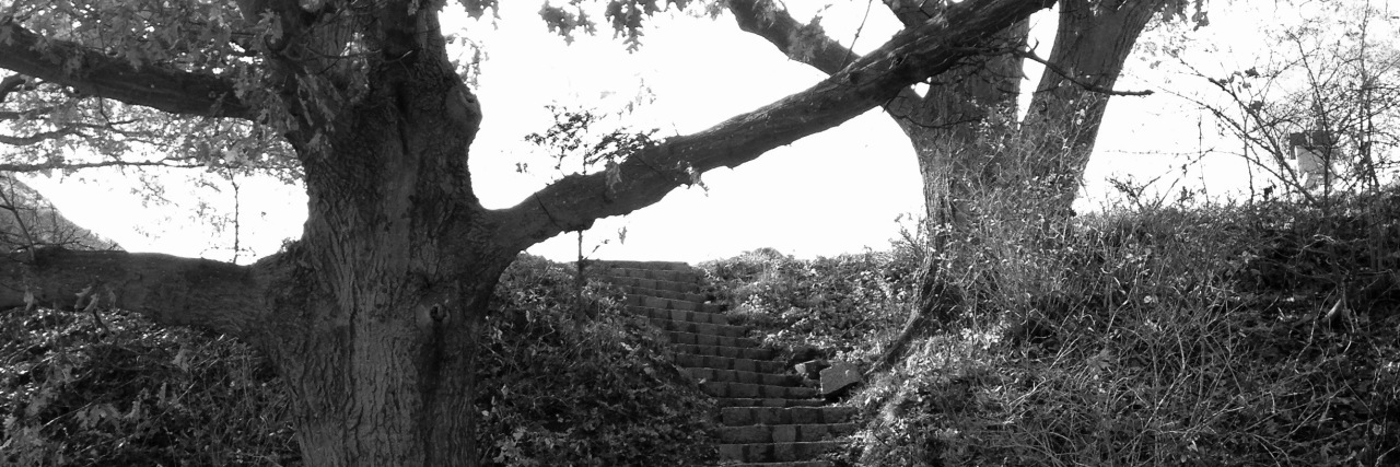 Black-and-white image of steps between trees in a park.