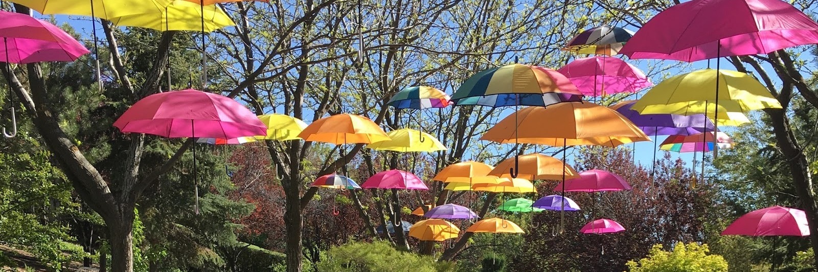 colorful umbrellas hanging in the park with the text 'thee life me and i'll lift thee and we'll ascend together'