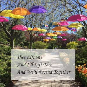 colorful umbrellas hanging in the park with the text 'thee life me and i'll lift thee and we'll ascend together'
