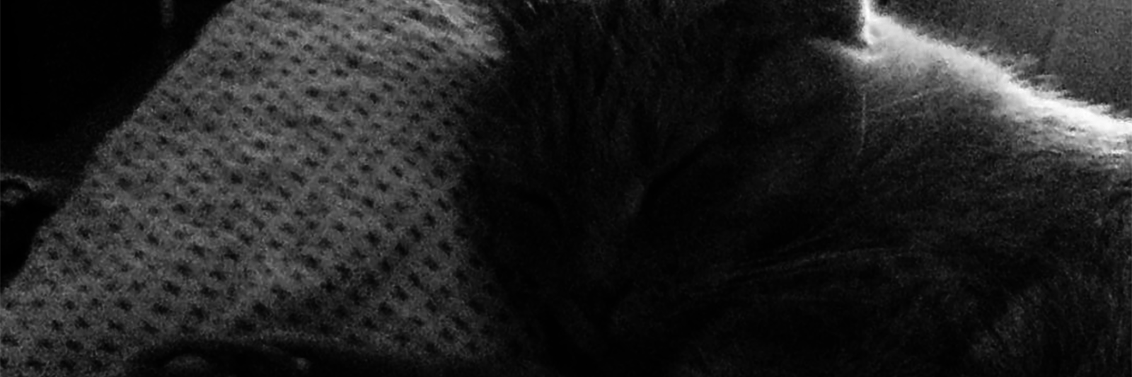 How I've Lived With and Overcome Borderline Personality Disorder black and white image of contributor's cat lying on bed