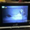 Video monitor image of child