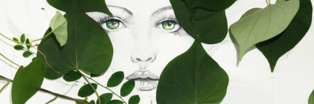 drawing of woman's face between green leaves