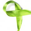 green ribbon for gastroparesis awareness
